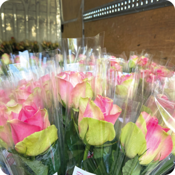 Faire distribuer des fleurs pour la fête des mères en centre commercial à Aix en Provence par des hôtesses d'accueil professionnelles
